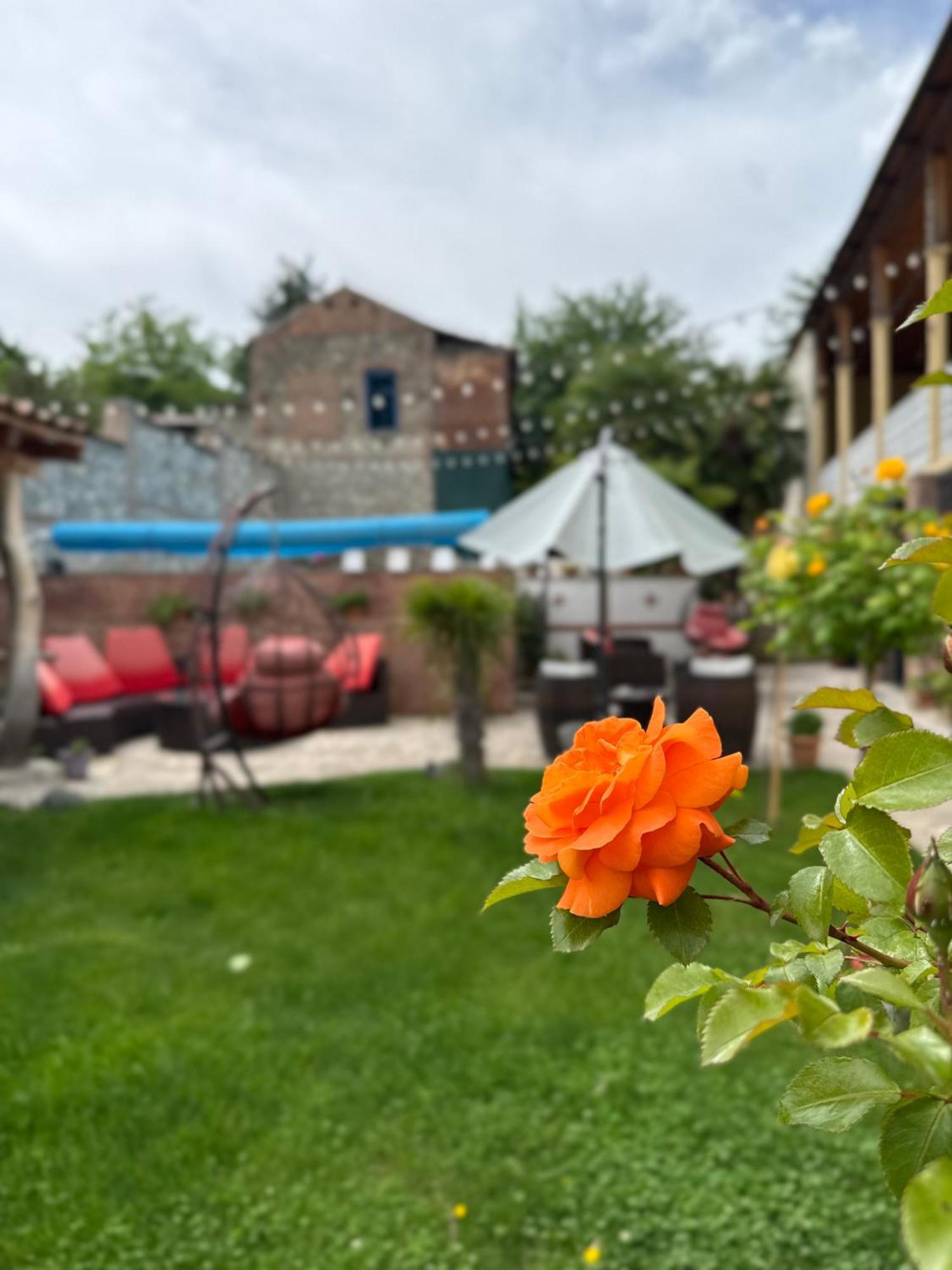 Boutique Hotel Talaveri In 텔라비 외부 사진